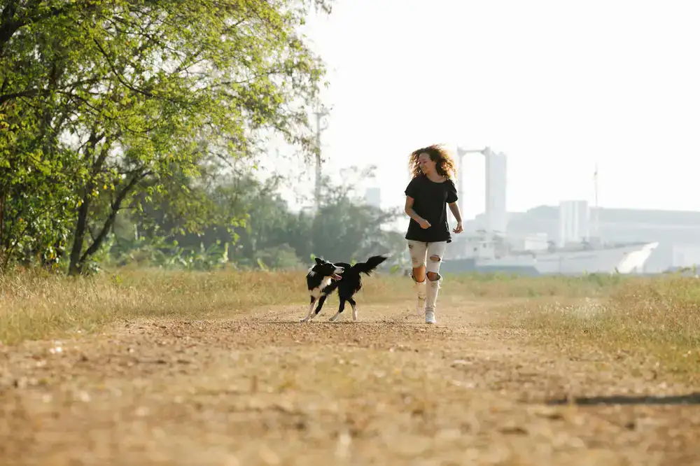 Dog running happily towards owner